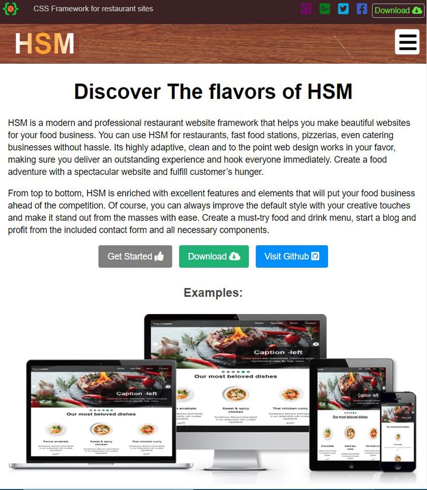 HSM Framework home page