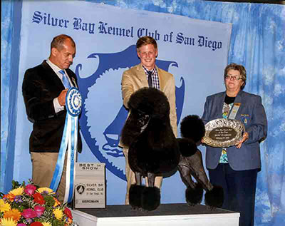 dog show Committee