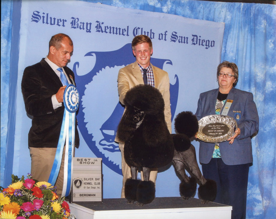 poodle best in show