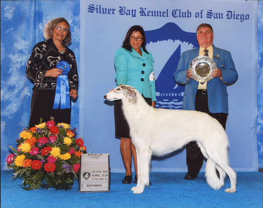 Sporting group golden retriever